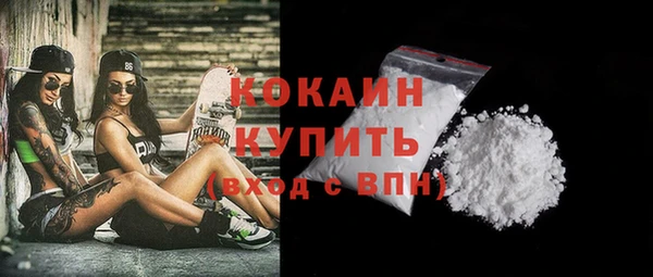 гашик Новодвинск