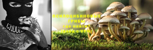 дурь Новозыбков