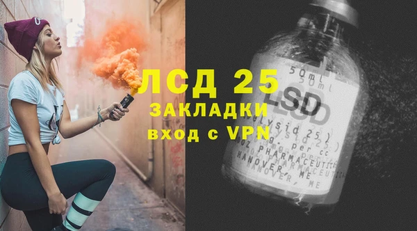 гашик Новодвинск