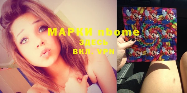 гашик Новодвинск