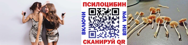 где можно купить наркотик  Макушино  маркетплейс клад  Галлюциногенные грибы Psilocybine cubensis 